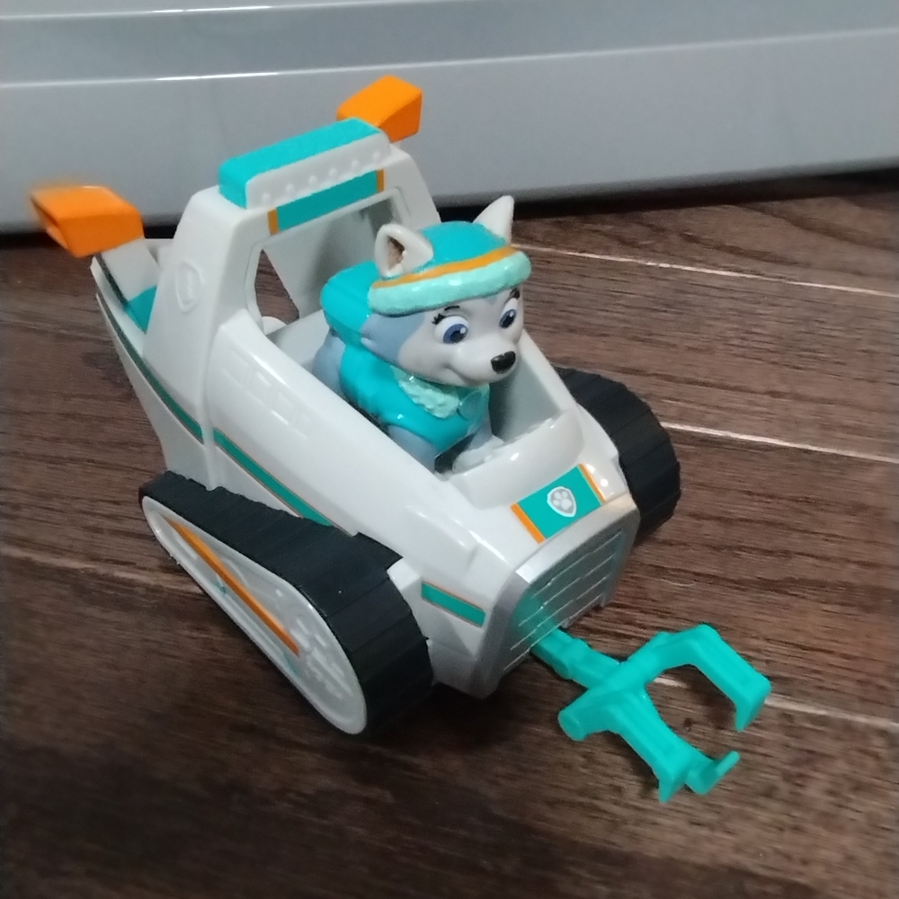 Everst Paw Patrol